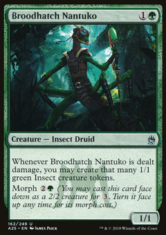 Broodhatch Nantuko